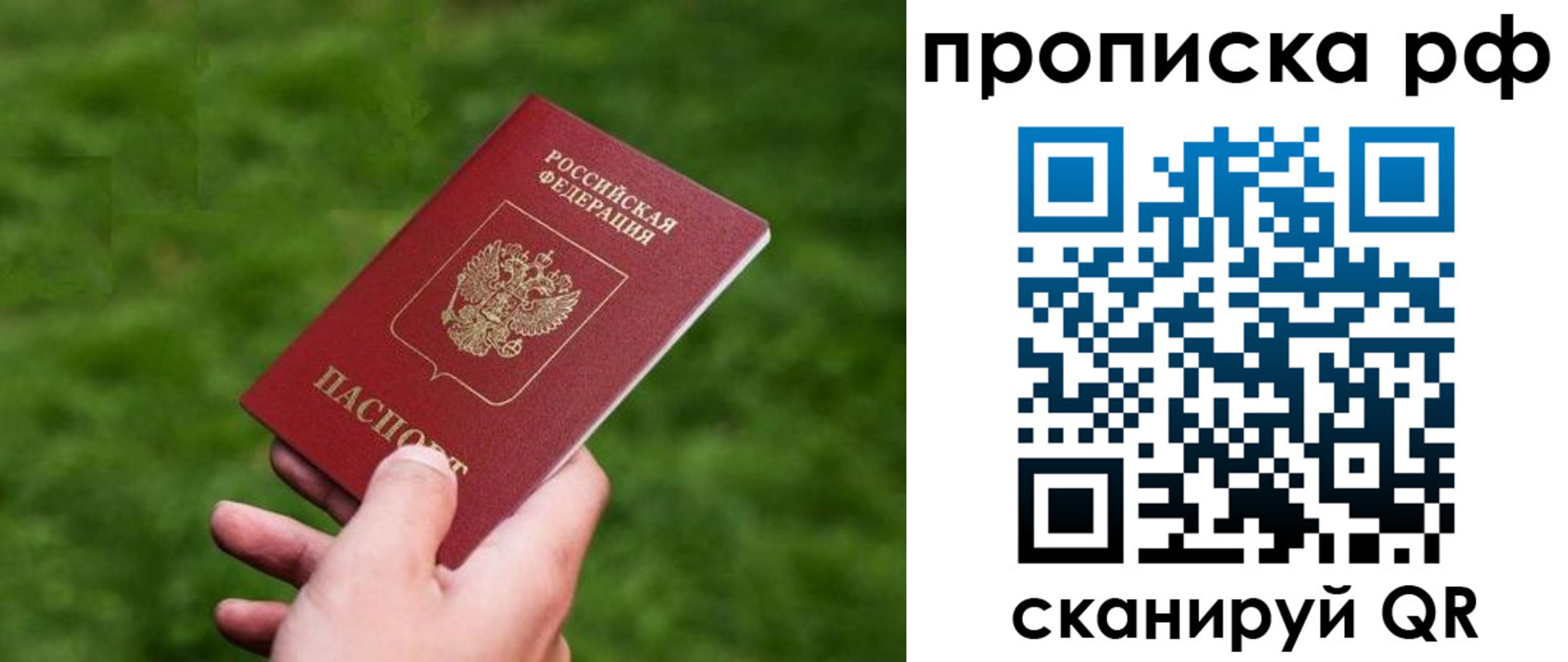 прописка поиск в Камышлове